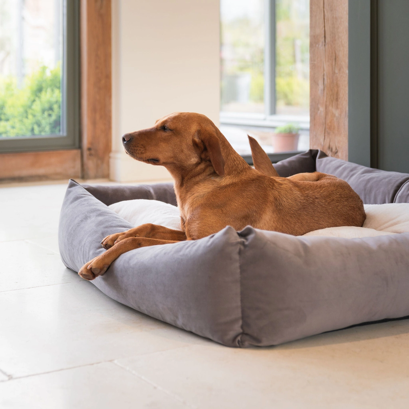 Orthopädisches Hundebett - 90 cm