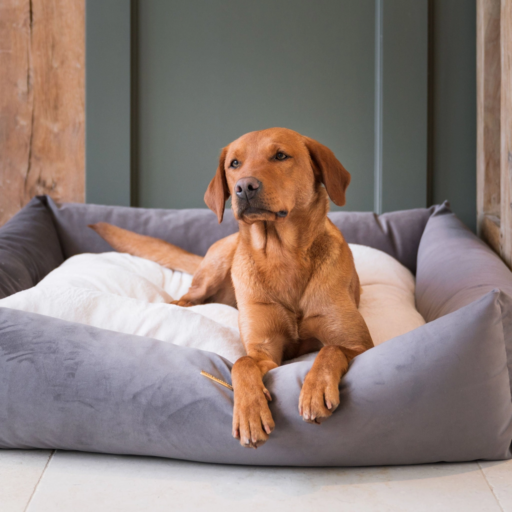 Orthopädisches Hundebett - 90 cm