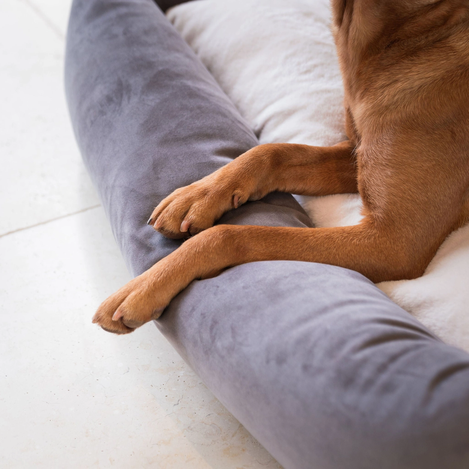 Orthopädisches Hundebett - 90 cm